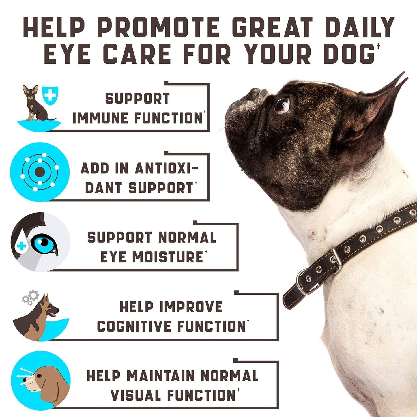 Dog Eye Vitamins for Tear Stains &amp; Vision Support - Ferris Deals